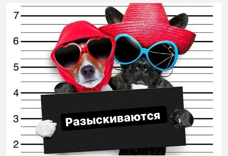 Разыскиваются официальные представители ГК «МАТРИКС